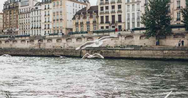 大数据包含设备数据的行业文章