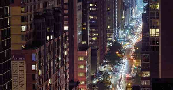 外国语单招大数据的行业文章