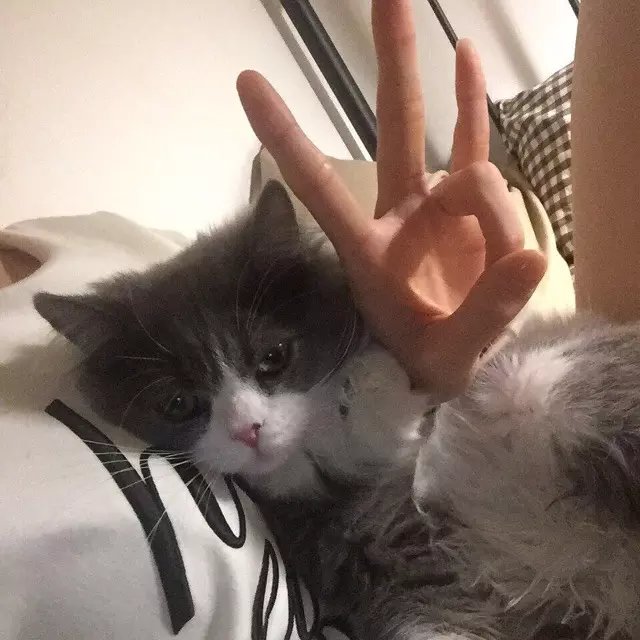 党琰会腾