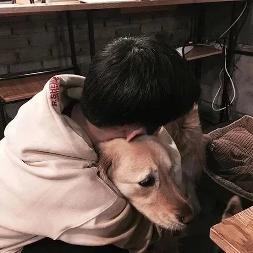 任昭柔燕
