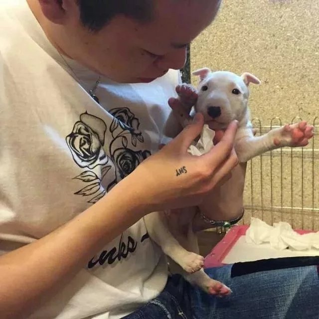 穆桦青蓓